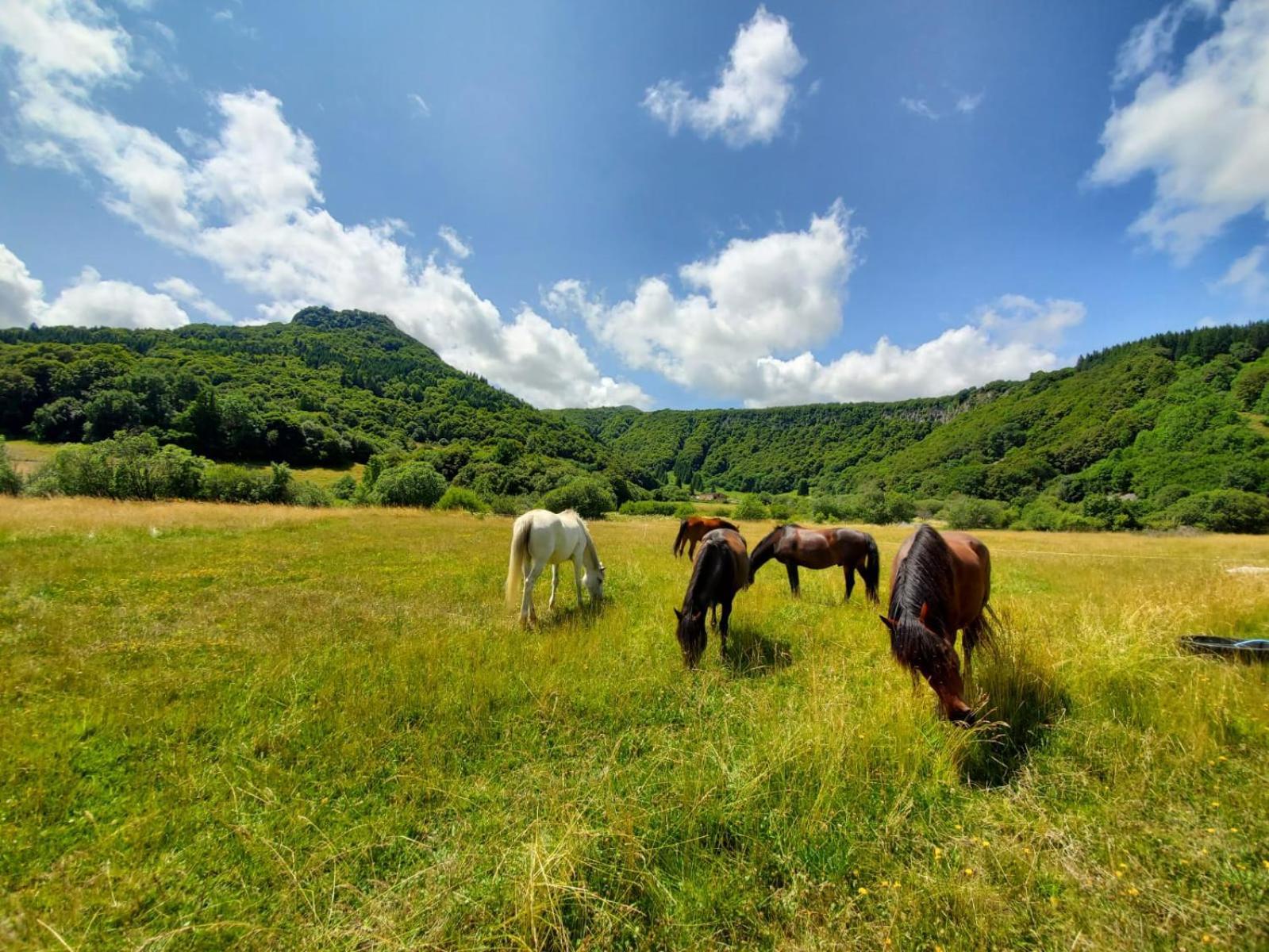 Sancy Resort Chambon-sur-Lac Luaran gambar